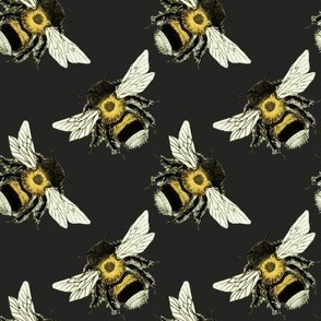 Bumble Bee Basics: Black