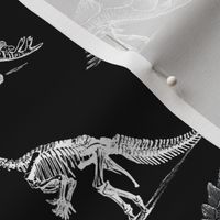 Museum Animals Dinosaur Skeleton X Ray, White Dinos on Black