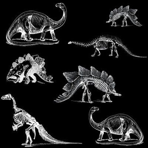 Museum Animals Dinosaur Skeleton X Ray, White Dinos on Black