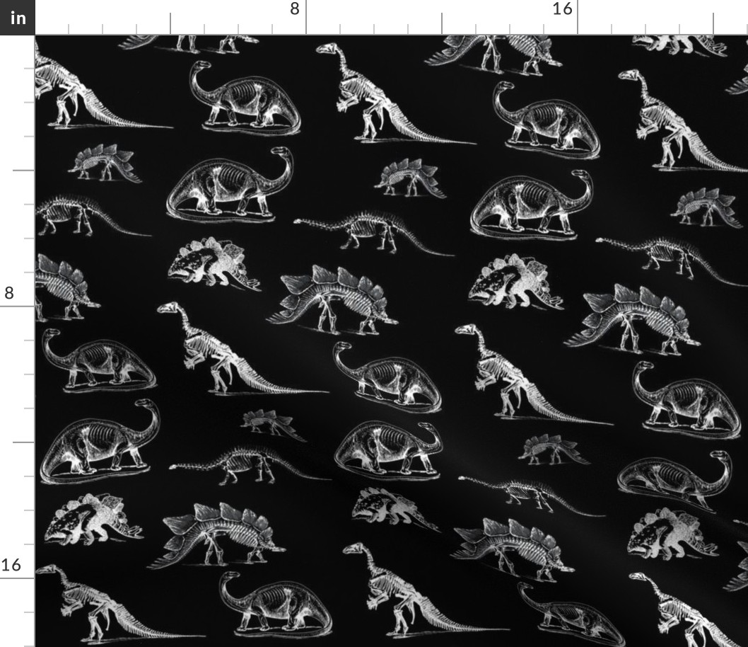 Museum Animals Dinosaur Skeleton X Ray, White Dinos on Black