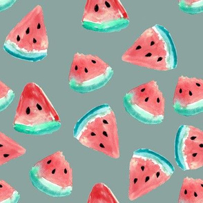 Watermelon Pieces // Gray Sage