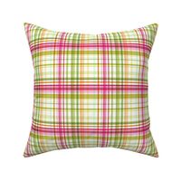 Birthday Box |Pink Green Tartan Plaid |Renee Davis