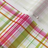 Birthday Box |Pink Green Tartan Plaid |Renee Davis