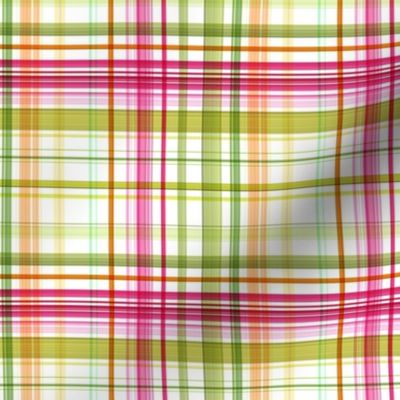 Birthday Box |Pink Green Tartan Plaid |Renee Davis