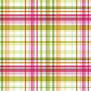 Birthday Box |Pink Green Tartan Plaid |Renee Davis