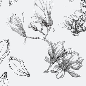 magnolia-pattern-flowers