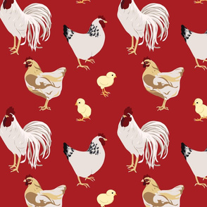 Cluck Cluck Red Medium