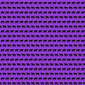 Little Black Cats On Purple