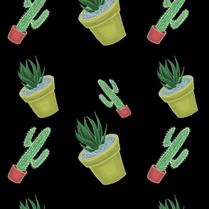 Cactus 5