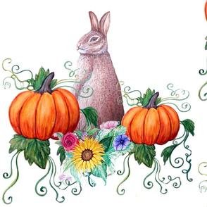 Rabbit and pumpkins on white