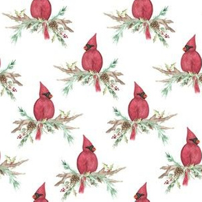 Christmas Cardinal Alt | holly pine |Renee Davis 