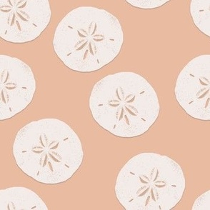 Sand Dollar on Cashmere |