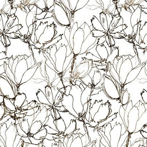 Magnolia Lineart  Raw Umber