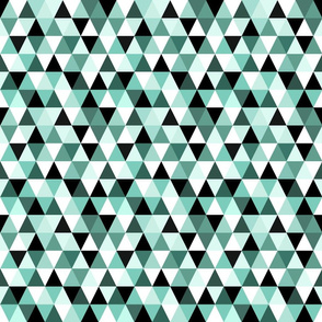 Tiny Triangles In Mint White And Black