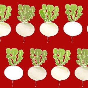 White Turnips  Strong Red