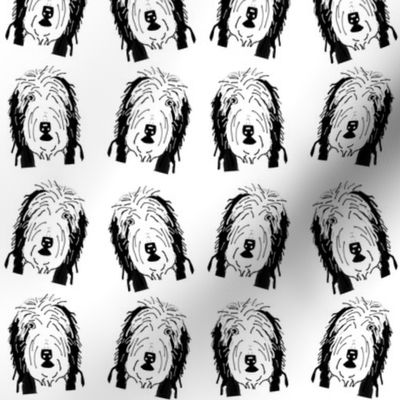 Bearded Collie Heads in Black and White