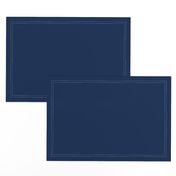 Navy Blue Solid -  hex code 0C2C56