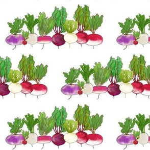  Root Veggie Lineup  White