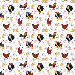 Spring Chickens! -  Small 