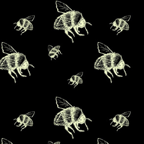 Bee 