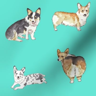 Corgis-watercolor-seafoam