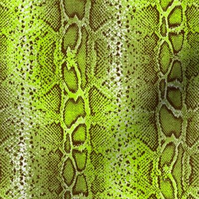 green snake skin with lime ombre