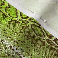 green snake skin with lime ombre