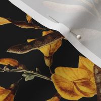 vintage botanical autumn_black