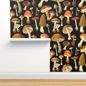 vintage botanical fungus_black