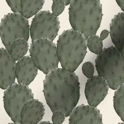 Cactus 7x7