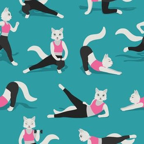 Fitness Cats teal