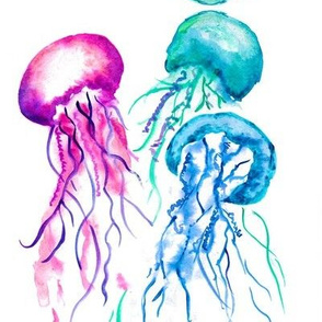 jellyfish-ed