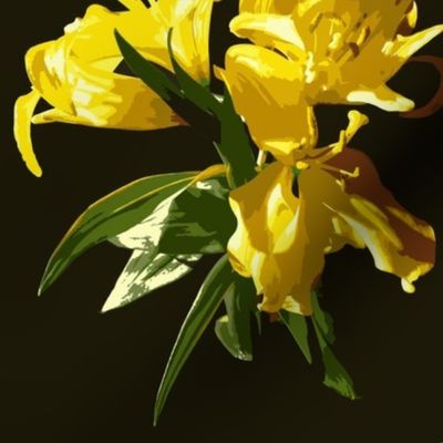 Yellow Lily Paint by Numbers