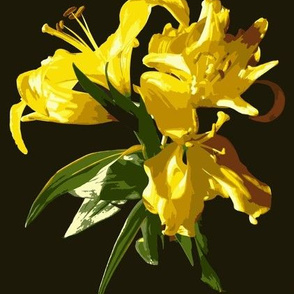 Yellow Lily Paint by Numbers