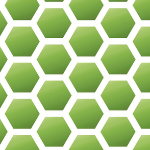 Honeycomb in Green