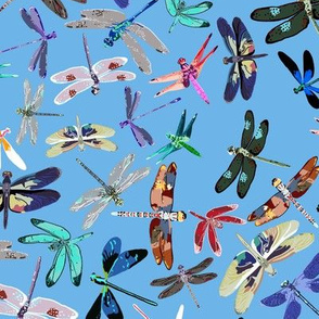  Dragonflies Paint by Number 