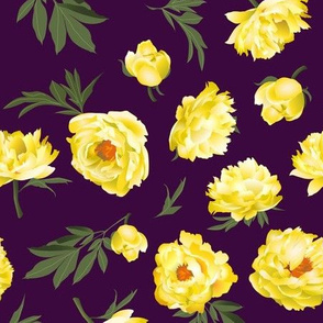 yellow peonies on dark purple