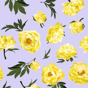 yellow peonies on lilac