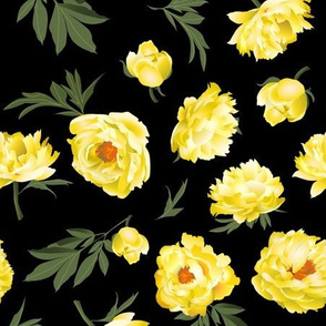 yellow peonies on black