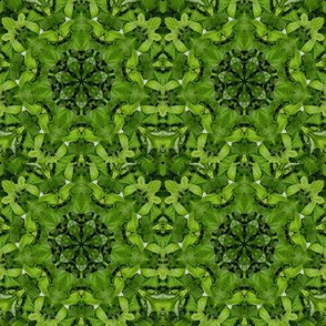 Mary's garden 3 Kaleidoscope, SQ multi 