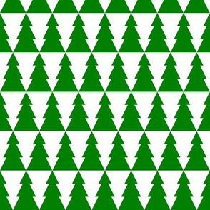 00886211 : plain firs