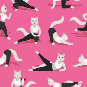 Fitness Cats on pink