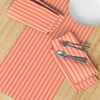 Ticking Stripe Coral Medium Bordered by Thin Stripes