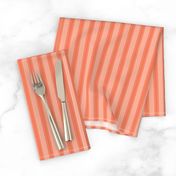 Ticking Stripe Coral Medium Bordered by Thin Stripes