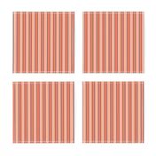 Ticking Stripe Coral Medium Bordered by Thin Black Stripes