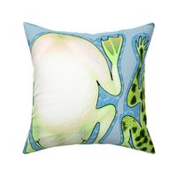 Frog Pillows Fat Quarters