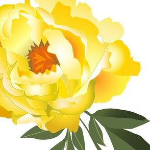 yellow peonies - extra large scale