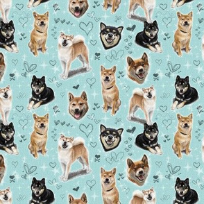 Shiba Inu