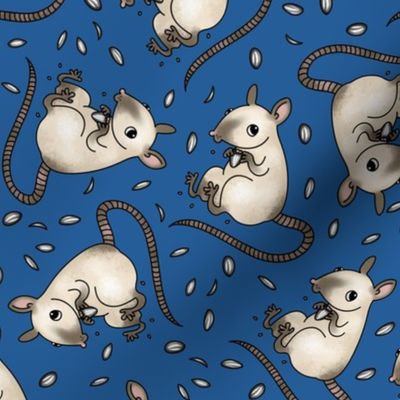 Siamese rat -classic blue