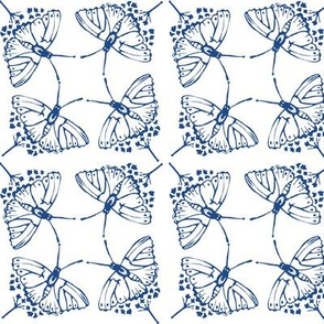 butterflies_smallsquare